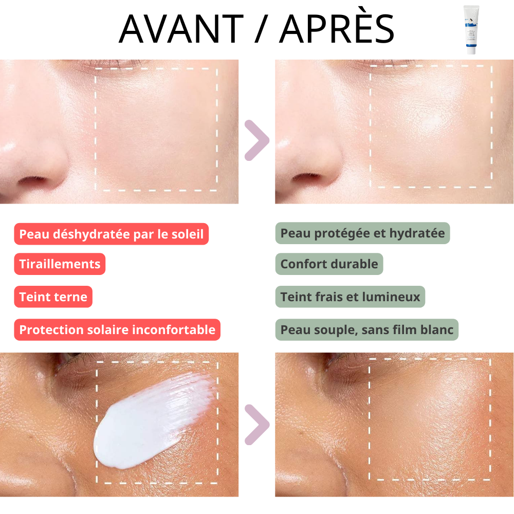 Round Lab - Crème Solaire Hydratante SPF50+ PA++++ au Jus de Bouleau